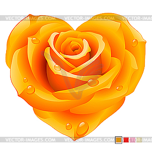 Orange Rose In The Shape Of Heart   Vector Clipart