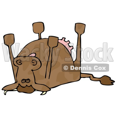 Dead Cow Lying On Its Back Its Feet Strait Up Clipart Illustration