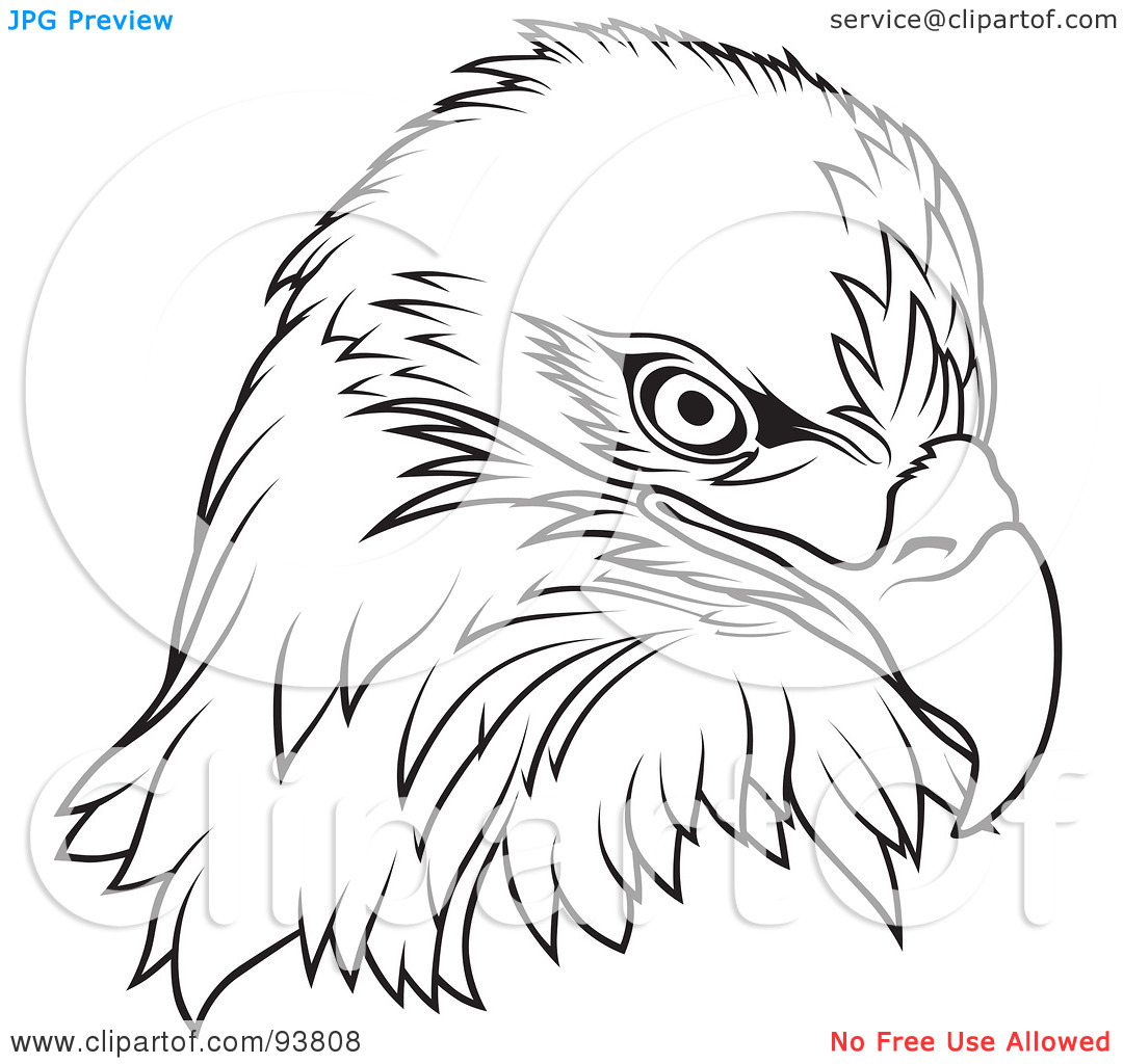 Royalty Free  Rf  Clipart Illustration Of A Black And White Bald Eagle
