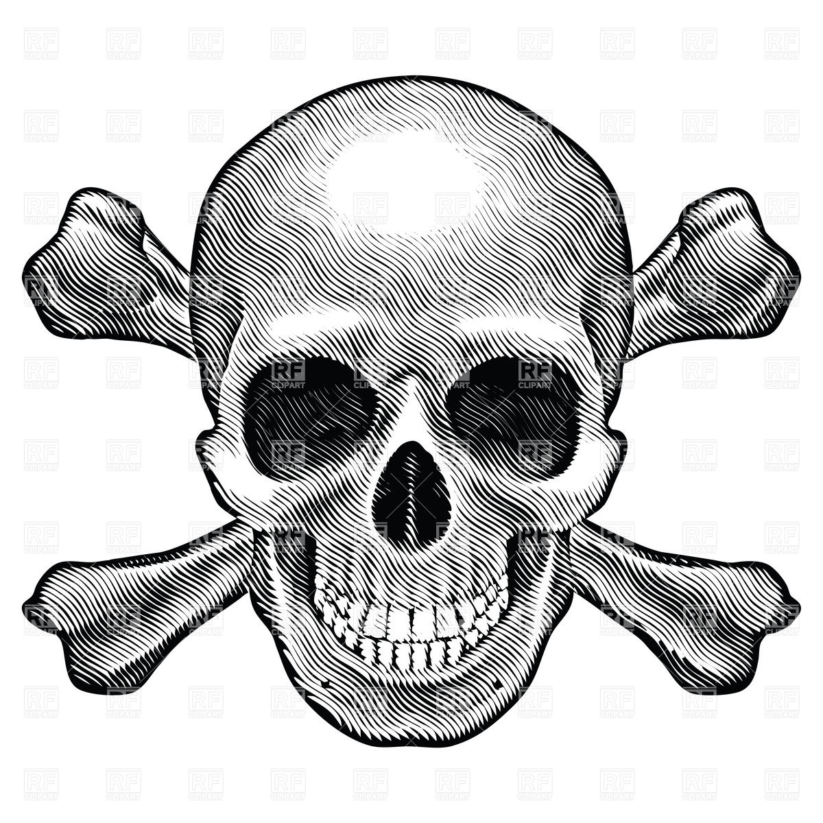 Crossbones And Skull   Sketch Style 7364 Download Royalty Free