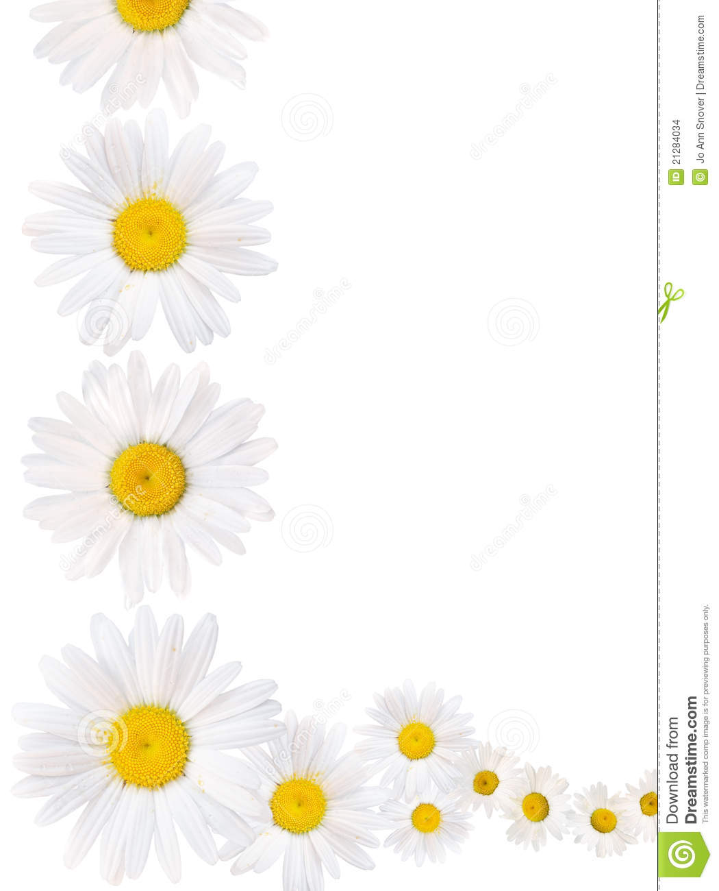 Daisy Chain Border Stock Images   Image  21284034