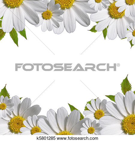 Daisy Flowers Border With Copy Space   Fotosearch   Search Clipart