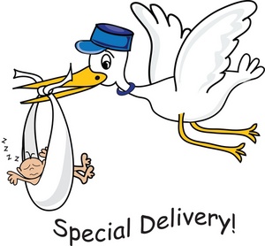 Stork Clipart Image   Special Delivery Cartoon Showing A Stork