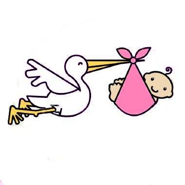 Stork With A Baby   Clipart Best