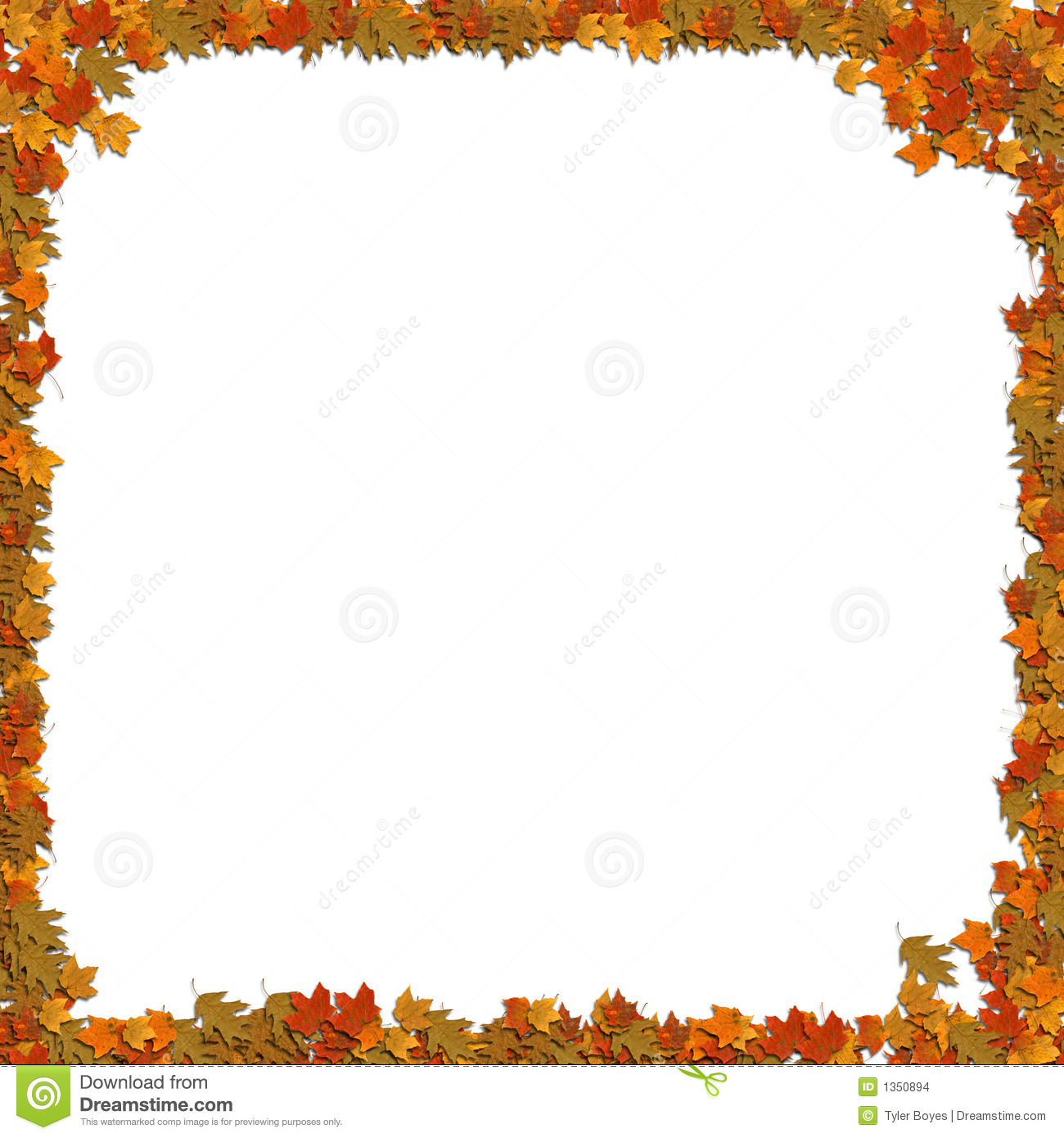 Frame Of Leafs Stock Images   Image  1350894