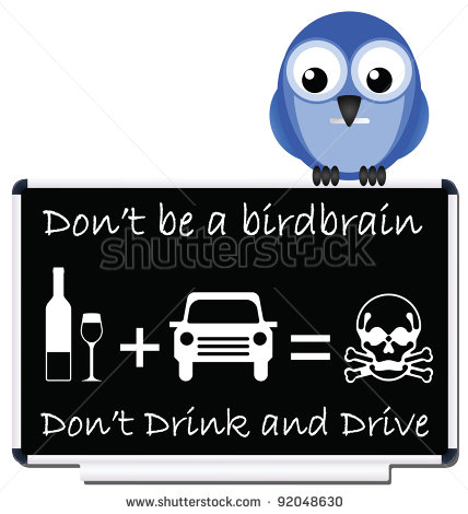 Do Not Be A Birdbrain Drink And Drive Message   Stock Photo