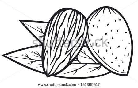 Nut Free Stock Photos Illustrations And Vector Art