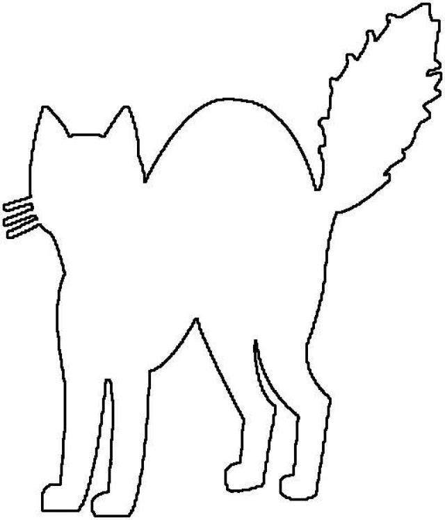 Scared Cat Outline Coloring Book Page