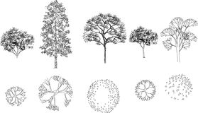 Aerial View Trees Stock Vectors Illustrations   Clipart