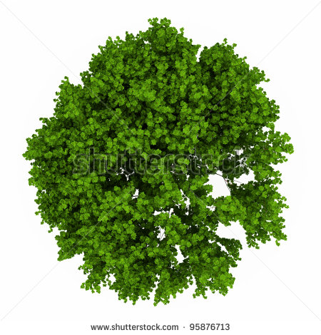 Stock Images Similar To Id 134244833   Trees Top View  Easy To Use