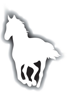 Mustang Horse Clipart   Animalgals