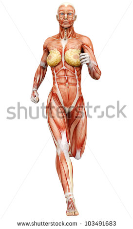 Muscle Woman Clipart Muscle Woman Running   Stock