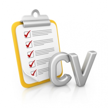 Write Your Own Cv At Vivacity